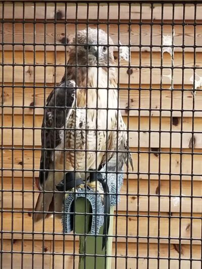 Deer Haven Park - Delaware, OH