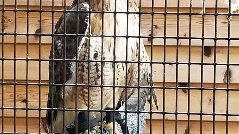 Deer Haven Park - Delaware, OH