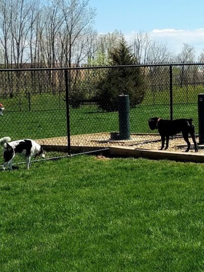 Delaware City Dog Park - Delaware, OH