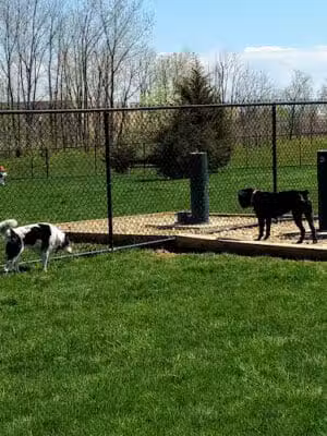 Delaware City Dog Park - Delaware, OH