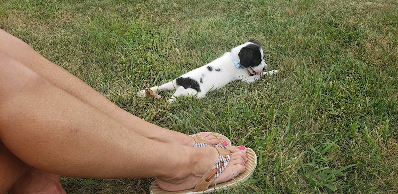 Delaware City Dog Park - Delaware, OH