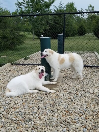 Delaware City Dog Park - Delaware, OH