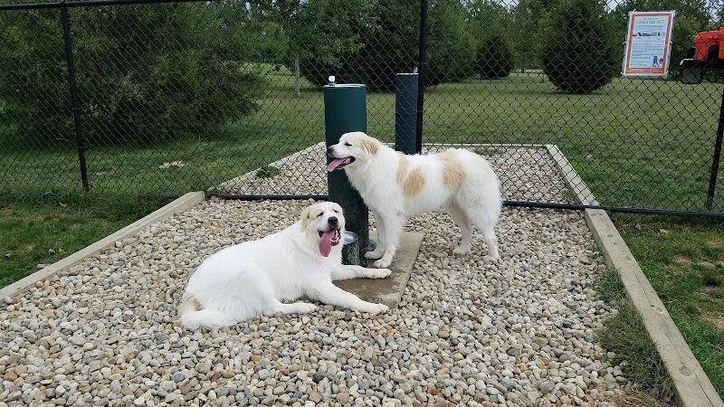 Delaware City Dog Park - Delaware, OH