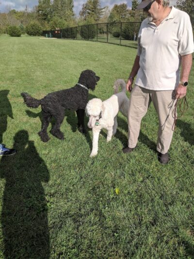 Delaware City Dog Park - Delaware, OH