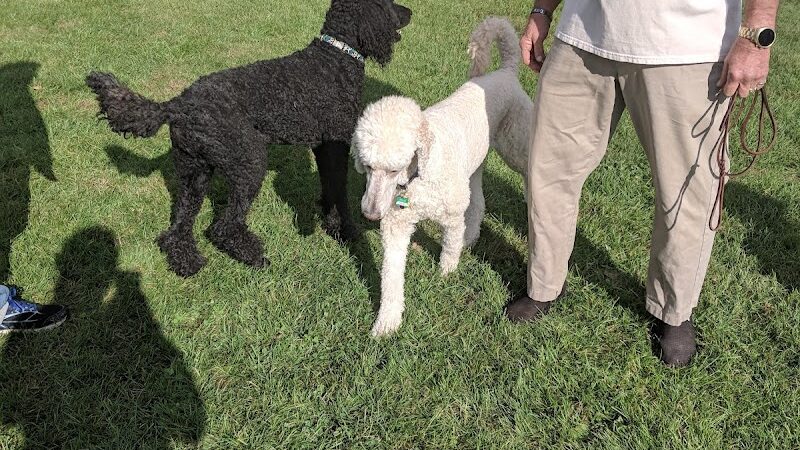 Delaware City Dog Park - Delaware, OH