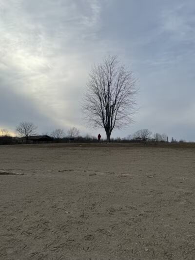 Delaware State Park Beach - Delaware, OH