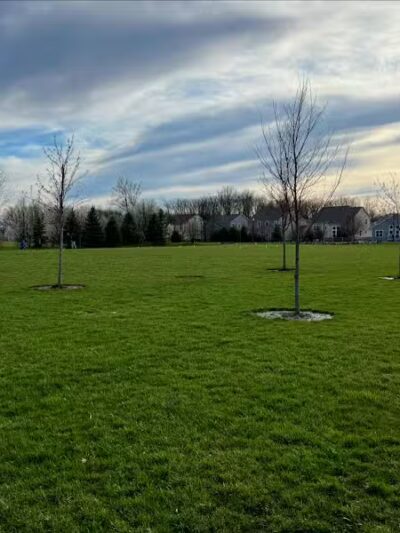 Glenross Park - Delaware, OH