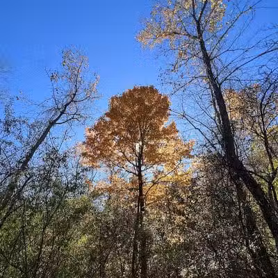 Havener Park - Delaware, OH