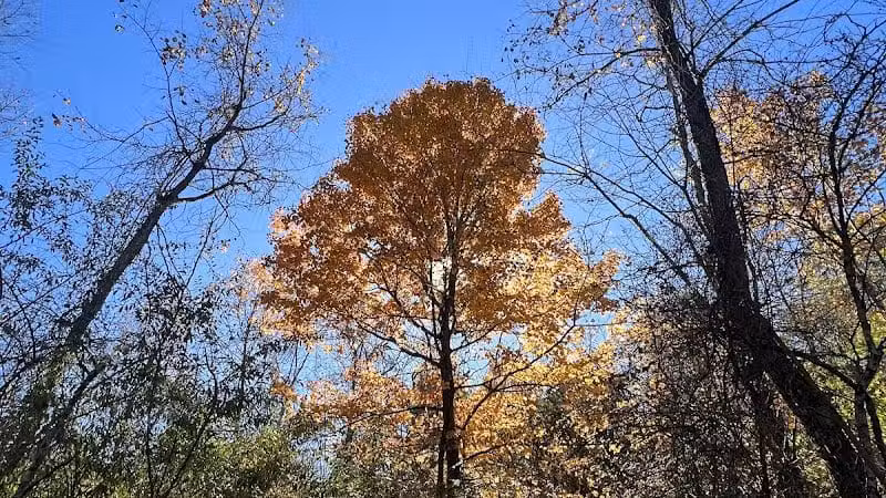 Havener Park - Delaware, OH