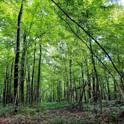 Hickory Woods Park - Delaware, OH