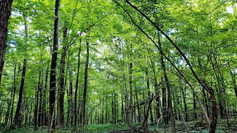 Hickory Woods Park - Delaware, OH
