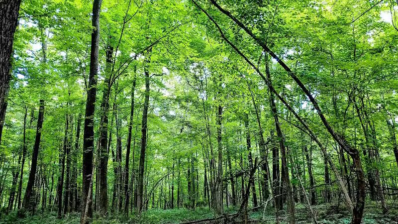 Hickory Woods Park - Delaware, OH