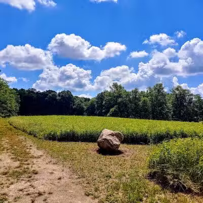 Hickory Woods Park - Delaware, OH