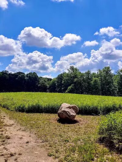 Hickory Woods Park - Delaware, OH
