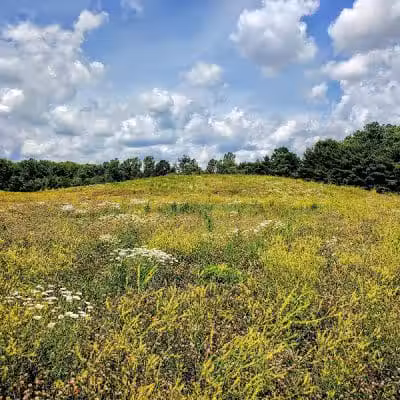 Hickory Woods Park - Delaware, OH