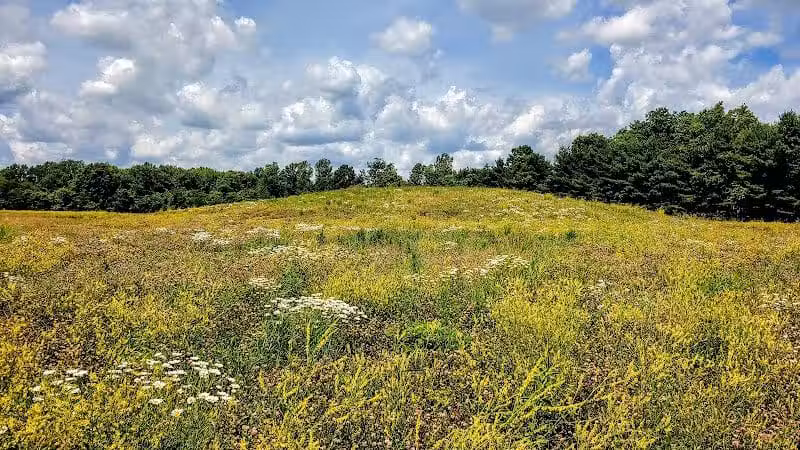 Hickory Woods Park - Delaware, OH