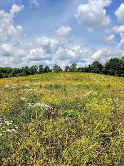 Hickory Woods Park - Delaware, OH