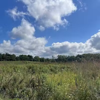 Hickory Woods Park - Delaware, OH