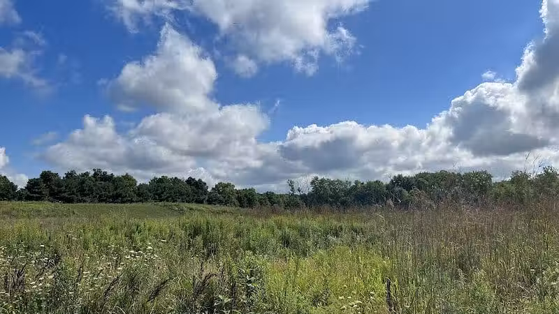 Hickory Woods Park - Delaware, OH