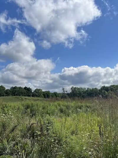 Hickory Woods Park - Delaware, OH