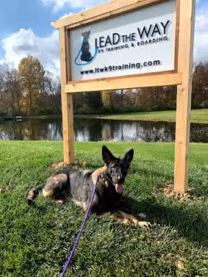 Lead the Way K9 Training & Boarding , LLC. - Delaware, OH