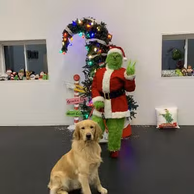 Lead the Way K9 Training & Boarding , LLC. - Delaware, OH