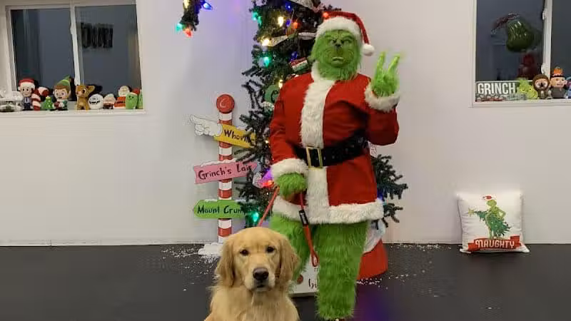 Lead the Way K9 Training & Boarding , LLC. - Delaware, OH