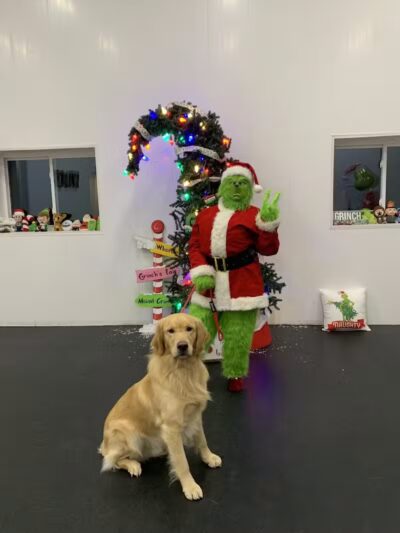 Lead the Way K9 Training & Boarding , LLC. - Delaware, OH