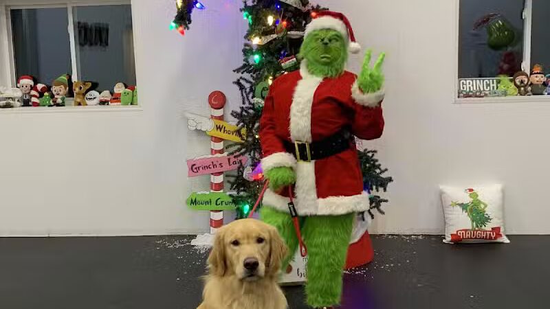 Lead the Way K9 Training & Boarding , LLC. - Delaware, OH