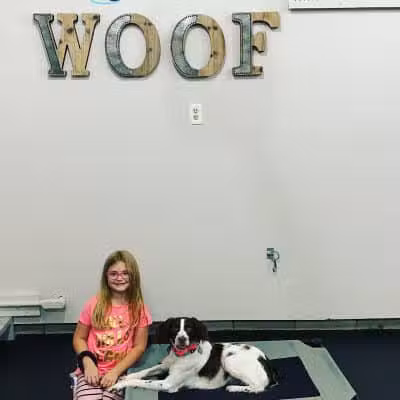 Lead the Way K9 Training & Boarding , LLC. - Delaware, OH