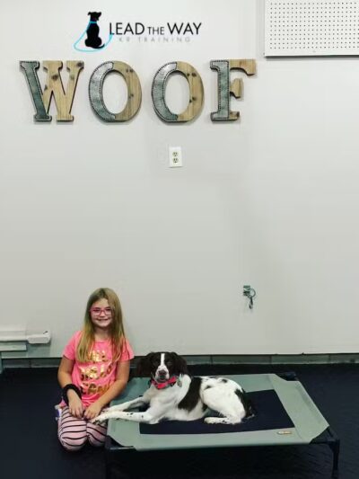 Lead the Way K9 Training & Boarding , LLC. - Delaware, OH