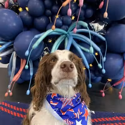 Lead the Way K9 Training & Boarding , LLC. - Delaware, OH