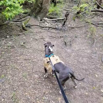 Mingo Park - Delaware, OH