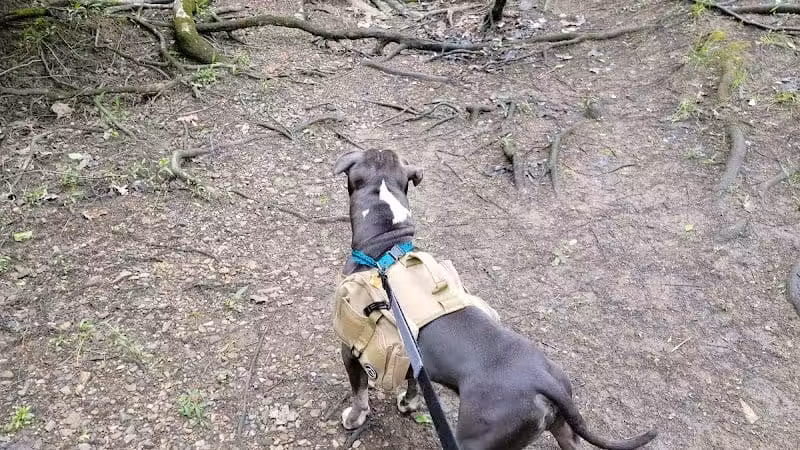 Mingo Park - Delaware, OH