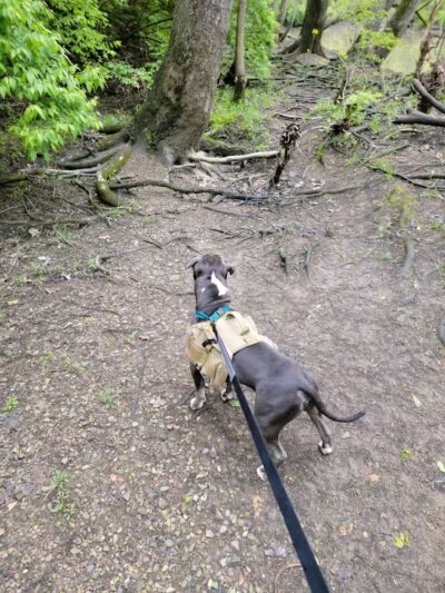 Mingo Park - Delaware, OH