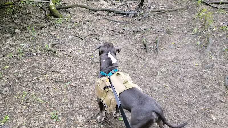 Mingo Park - Delaware, OH