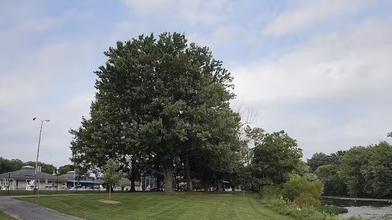 Mingo Park - Delaware, OH