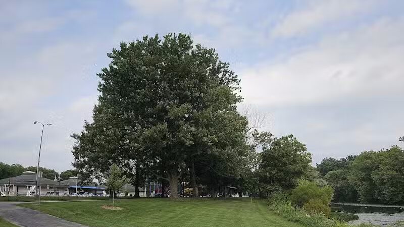 Mingo Park - Delaware, OH