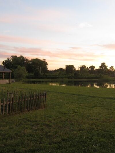 Mutt's Paradise AmuseMutt Park & Dog Training Center - Delaware, OH