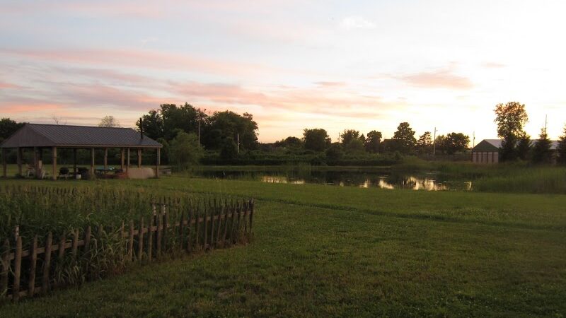 Mutt's Paradise AmuseMutt Park & Dog Training Center - Delaware, OH