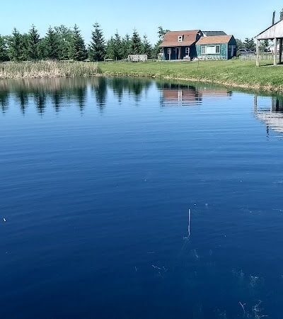 Mutt's Paradise AmuseMutt Park & Dog Training Center - Delaware, OH