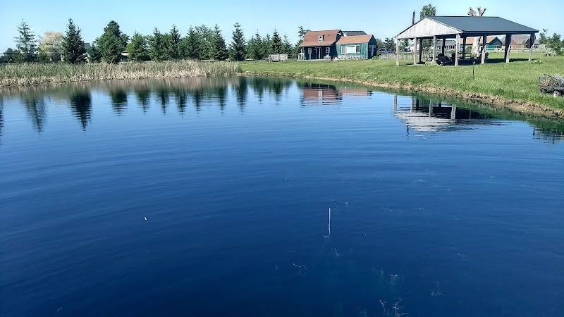 Mutt's Paradise AmuseMutt Park & Dog Training Center - Delaware, OH