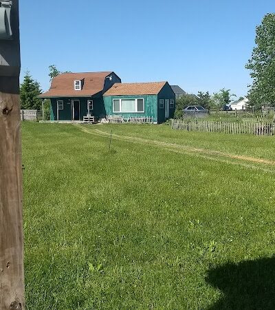 Mutt's Paradise AmuseMutt Park & Dog Training Center - Delaware, OH