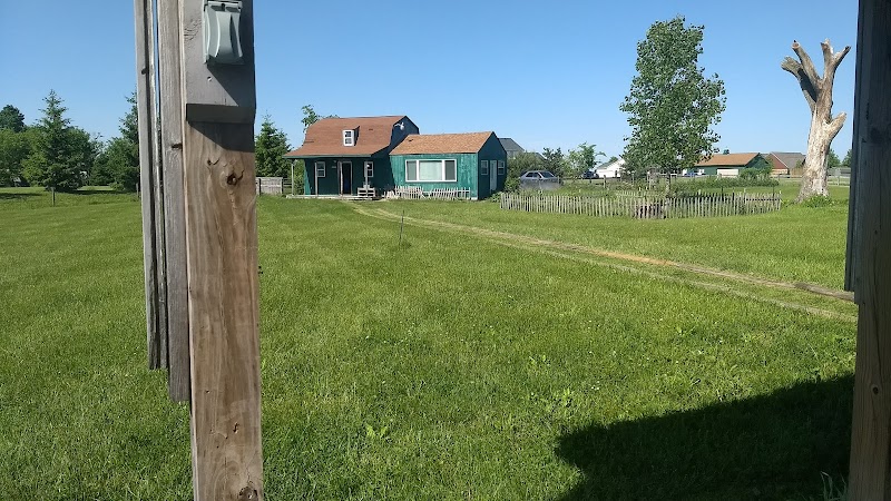 Mutt's Paradise AmuseMutt Park & Dog Training Center - Delaware, OH