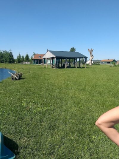 Mutt's Paradise AmuseMutt Park & Dog Training Center - Delaware, OH