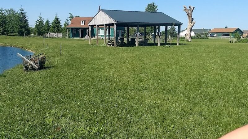 Mutt's Paradise AmuseMutt Park & Dog Training Center - Delaware, OH