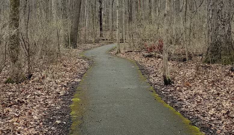 Scioto Township Park And Nature Area - Delaware, OH