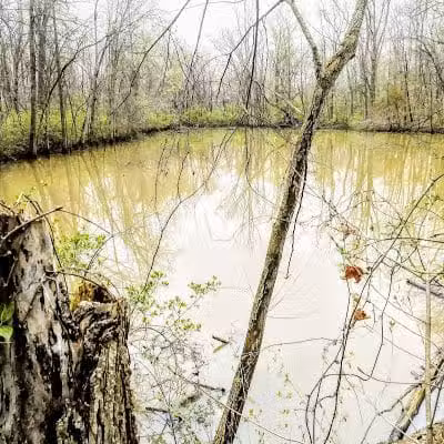 Scioto Township Park And Nature Area - Delaware, OH