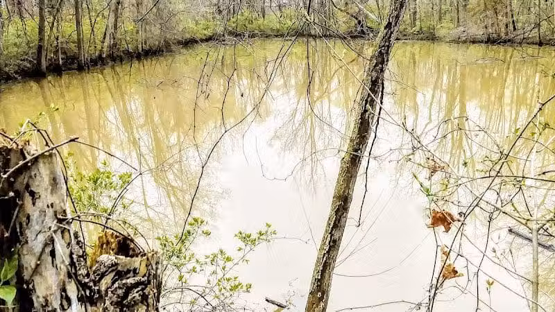 Scioto Township Park And Nature Area - Delaware, OH