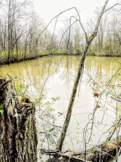 Scioto Township Park And Nature Area - Delaware, OH